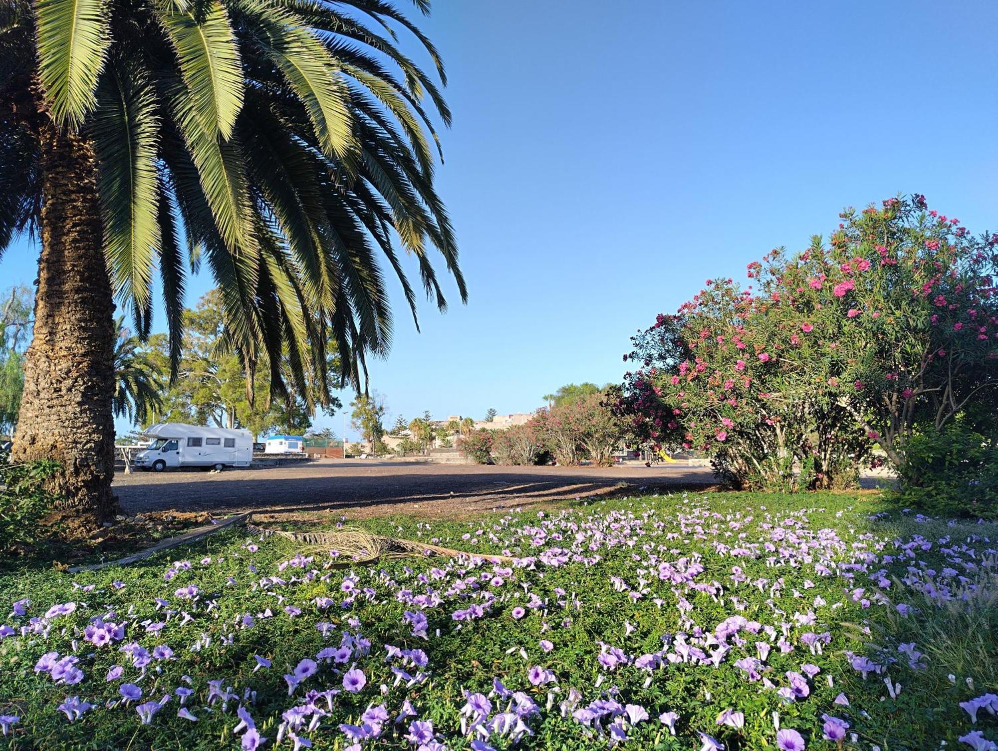 קוסטה דל סילנסיו Apartment Residencia Carabela מראה חיצוני תמונה